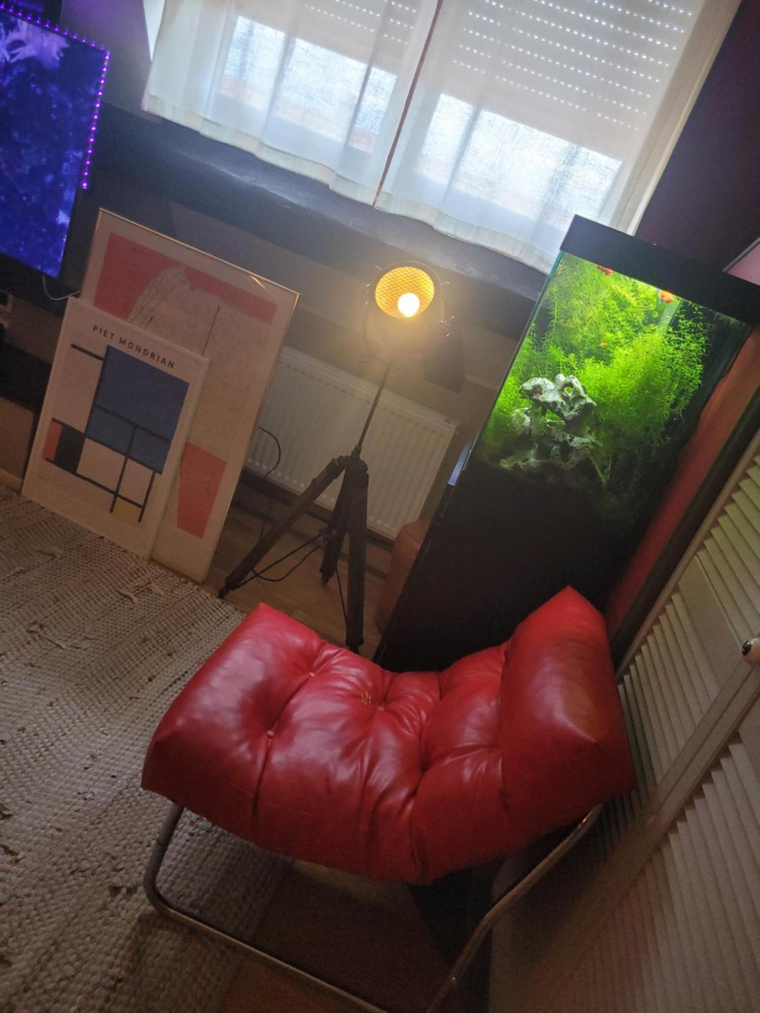Soultz-Haut-Rhin Appartement Atypique Perle Rare מראה חיצוני תמונה